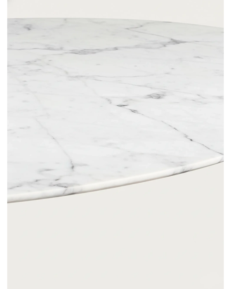 Mesa de comedor redonda de alta gama en mármol de Carrara (120cm) - Stratus FurnMod - 6
