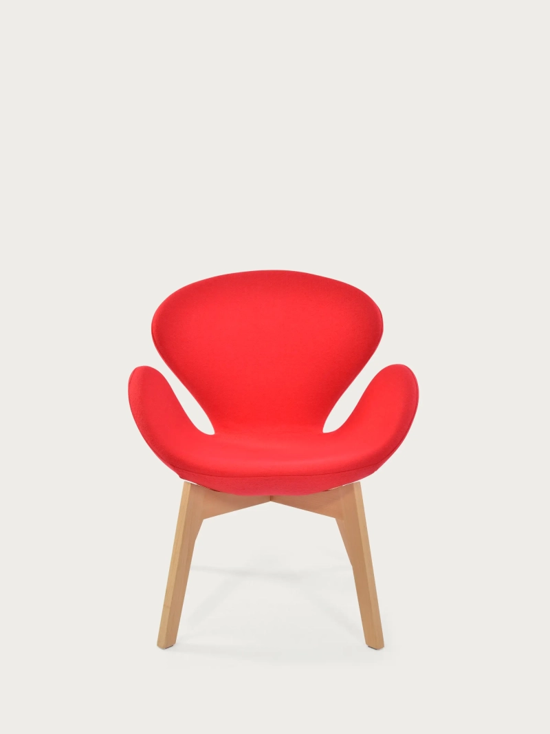 Nordic design Sessel mit Eschenholzgestell - Swart FurnMod - 1