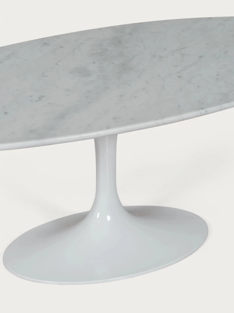 Mesa de centro ovalada de mármol Carrara – Coffee Lotus FurnMod - 7